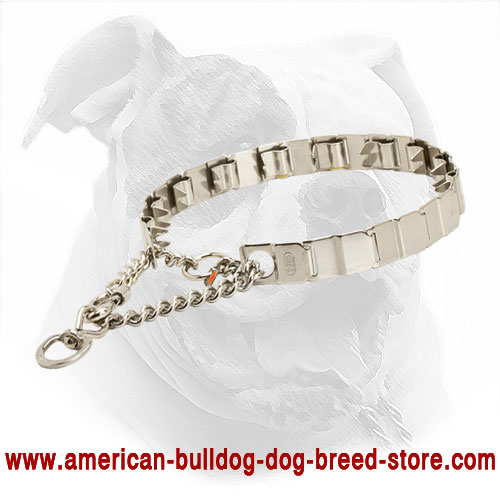 Neck Tech Pinch Prong Dog Collar for American Bulldog Training