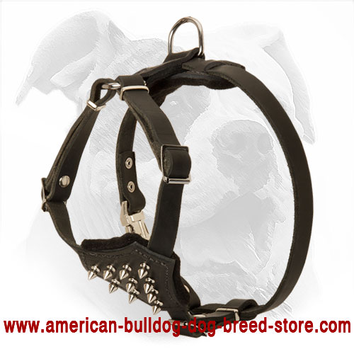 Spiked Leather Dog Harness for American Bulldog Puppy