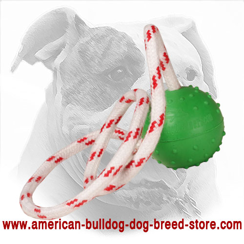 2 Inch American Bulldog Rubber Ball with Nylon String