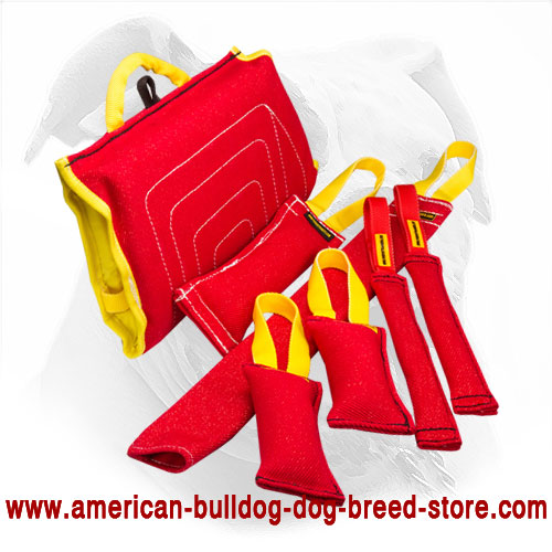 Training Set of Bite Tugs for American Bulldog Puppy