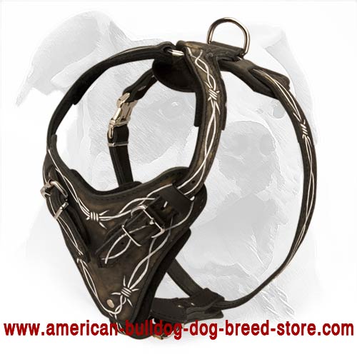 Hand Painted Attack Training Harness for American Bulldog - No Rubbing Choice
