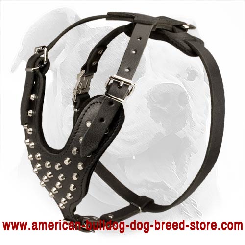 American Bulldog Studded Leather Dog Harness with Pyramids - Click Image to Close