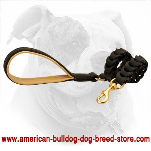 Full Comfort Leather Braided Leash for Easy American Bulldog Exercising