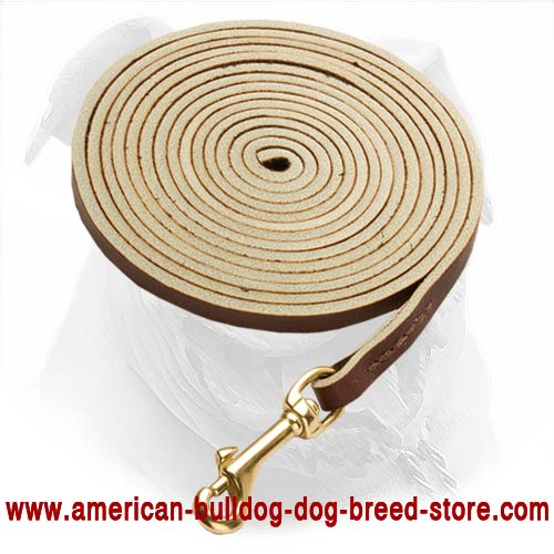 Extra Comfort with Long Tracking and Training American Bulldog Leather Leash