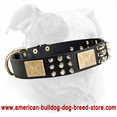 Fashion Leather Dog Collar with Nickel Spikes & Studs and Brass Plates for American Bulldog