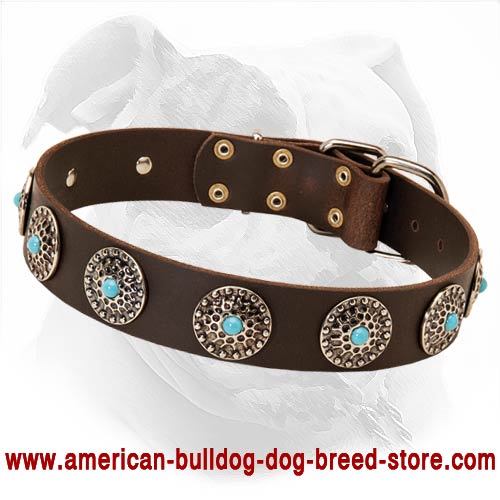 Daily American Bulldog Gear - Leather Canine Collar with Silvery Studs & Blue Stones