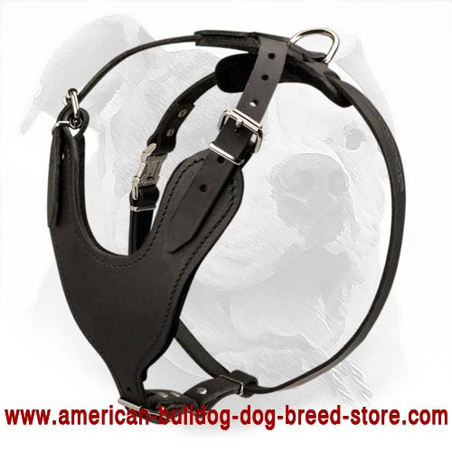 Heavy Duty American Bulldog Harness for Attack/Agitation Training