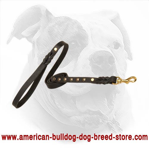 Multi Purpose Leather American Bulldog Leash with 6 Half Ball Studs