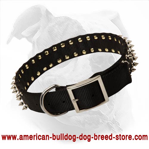 Any Weather Nylon Dog Collar for American Bulldog