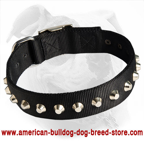 Fashionable and Serviceable Nylon Dog Training Collar for American Bulldog Breed