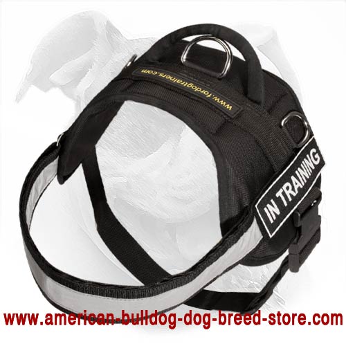 Universal Nylon Dog Harness for American Bulldog