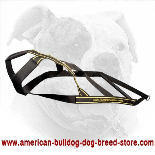 Professional Pulling Harness for American Bulldog - Awesome Web Design