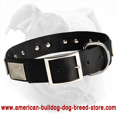 Easy in Use Nylon Dog Collar Multitasking - Best Decision for Active American Bulldog