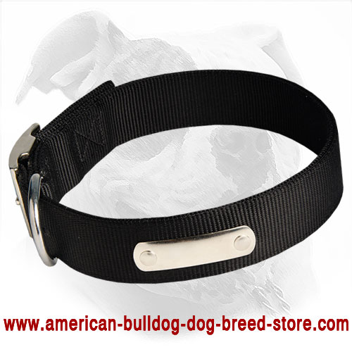 Strong Any Weather Dog Nylon Collar with Name Tag for American Bulldog