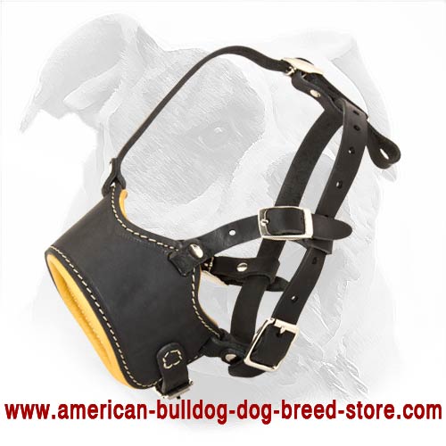 Best Every Day Walking and Training Leather Muzzle with Open Nose Design
