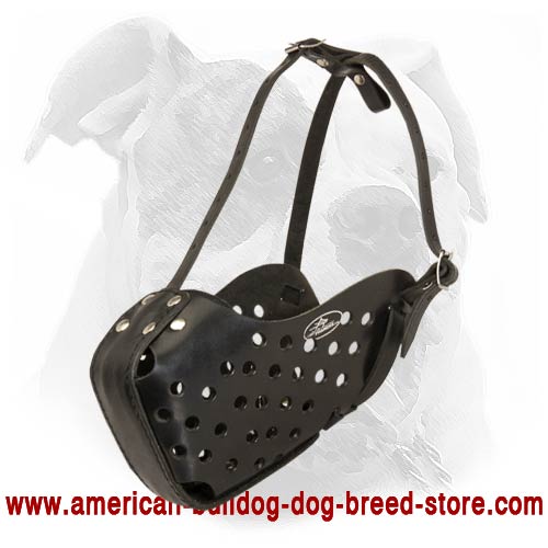 American Bulldog Agitation/Attack Training Muzzle