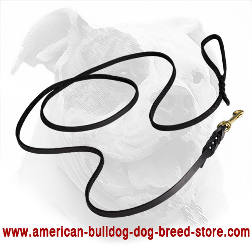 Braided Leather American Bulldog Leash for Walking and Training