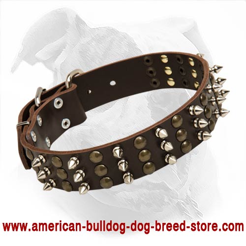 Fantastic Leather Collar with Spikes and Studs for American Bulldog