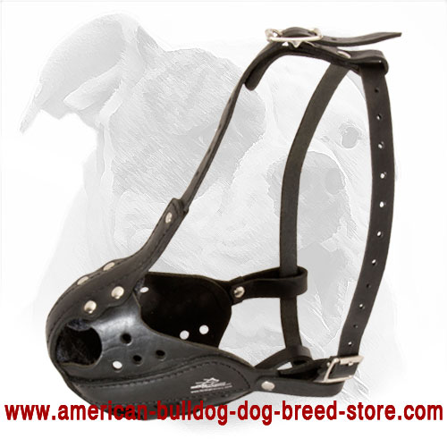 Professional Leather Dog Muzzle for American Bulldog Training/Walking/Agitation and Police Work