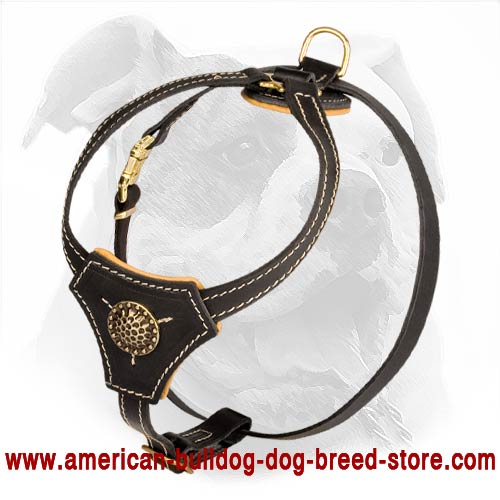 Small Leather Dog Harness for American Bulldog Puppy