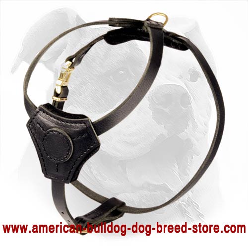 Buy Small Leather Puppy Harness, Dog Training