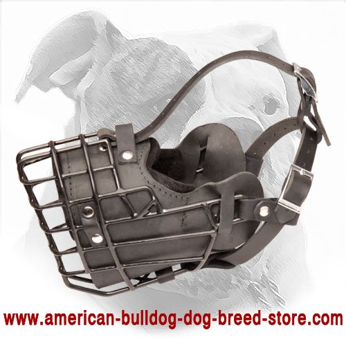 Winter Wire Cage Dog Muzzle with Leather Lined Interior