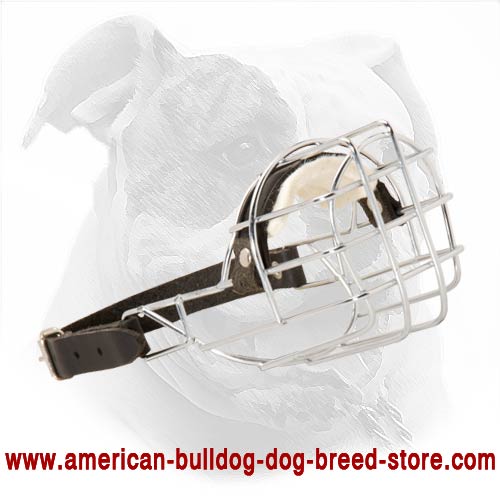 'The Silencer' Best American Bulldog Wire Cage Muzzle - Impossible to Be Taken Off