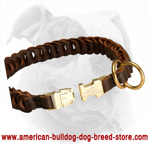 Choker collar discount dog training