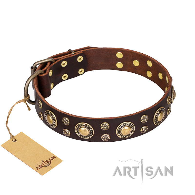 'Flower Melody' American Bulldog FDT Artisan Brown Leather Dog Collar with Mixed Studs