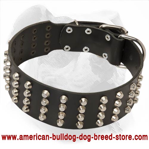 Wide Studded Leather American Bulldog Collar - Click Image to Close