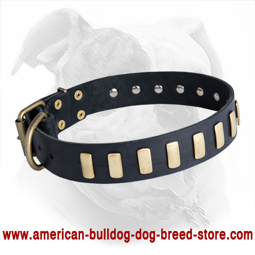 Decorated with Plates Leather American Bulldog Collar for Daily Walking