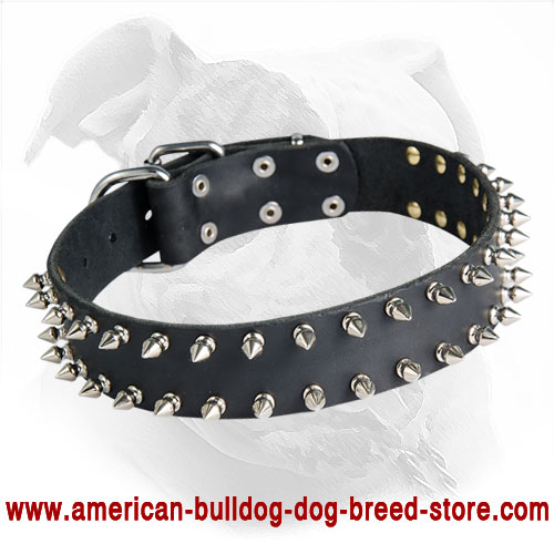 Leather American Bulldog Collar with 2 Rows of Nickel Spikes for Walking in Style