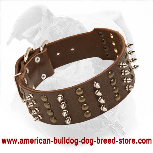 Extra Wide Leather American Bulldog Collar with Spikes and Studs - Click Image to Close
