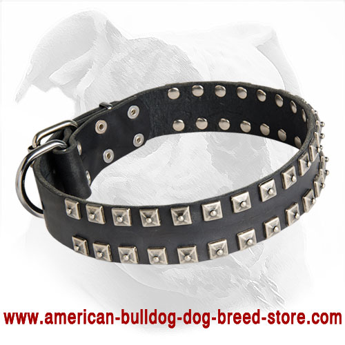 Leather Dog Collar with Caterpillar Studs Decoration for American Bulldog