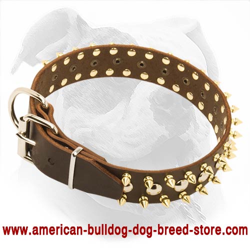 Spiked & Studded Leather American Bulldog Collar for Dailly Walking