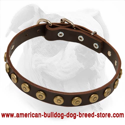 Leather American Bulldog Collar with Dotted Round Studs