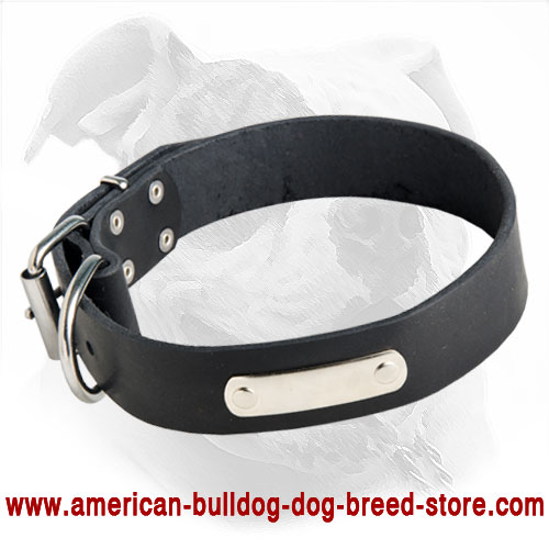Identification Leather American Bulldog Collar for Walking and Training