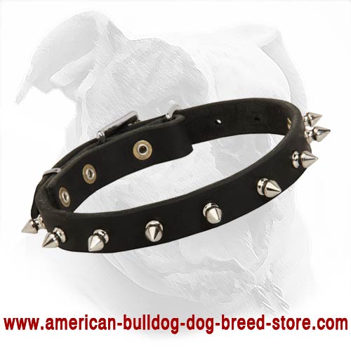Elegant Spiked Leather American Bulldog Collar for Daily Walking