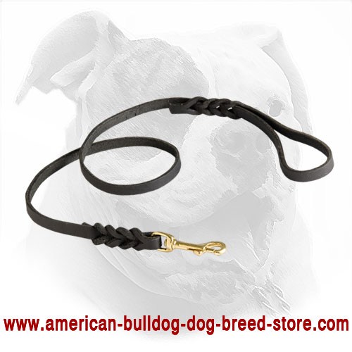 American Bulldog 1/2 Inch Wide Leather Dog Leash Braided