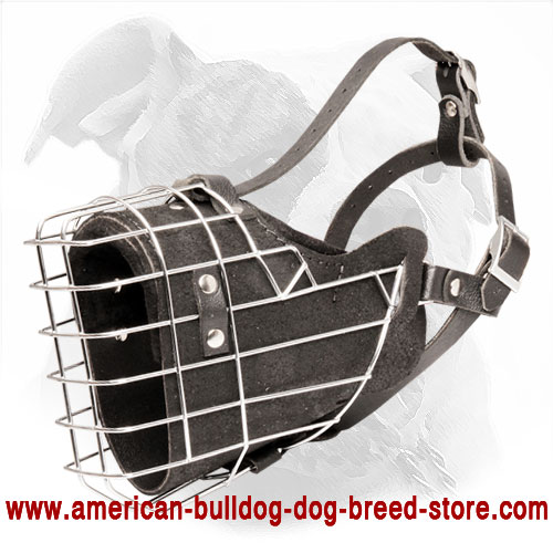 Wire Basket Muzzle Leather Padded for American Bulldogs
