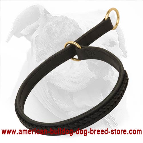 Fashionable Leather Choke Collar for Training and Walking Your Bulldog