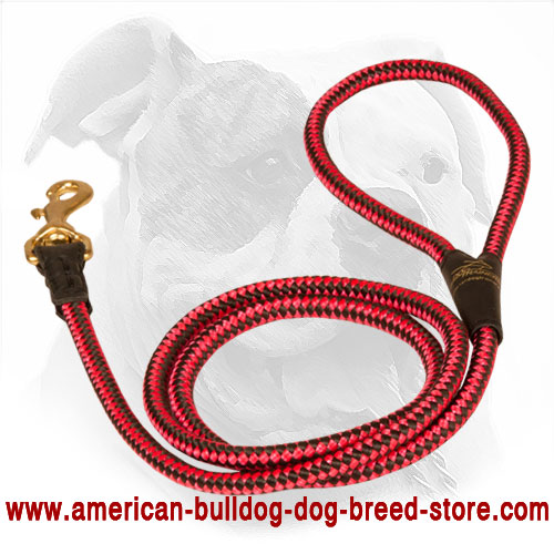 Cord Nylon Dog Leash for American Bulldog