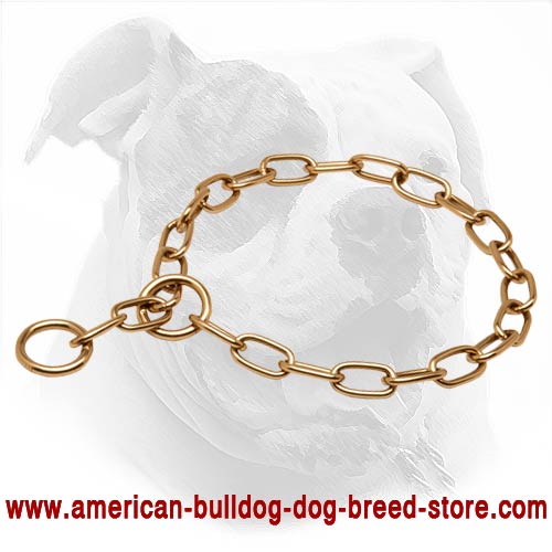 Curogan Fur Saver Dog Collar for American Bulldog