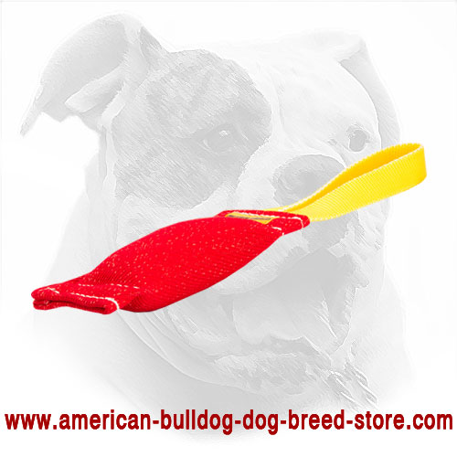 Handled Dog Bite Tug for American Bulldog Puppy