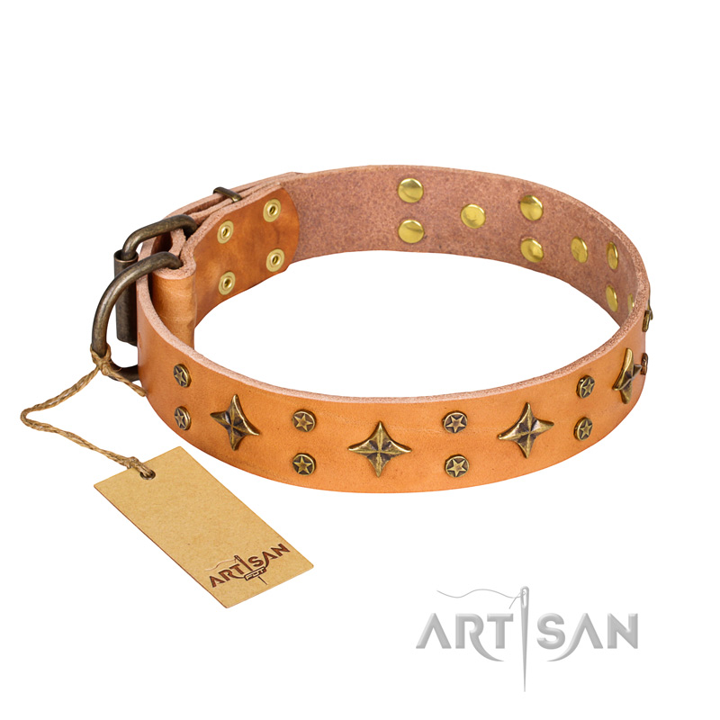 'Top-Flight' FDT Artisan Adorned Tan Leather American Bulldog Collar