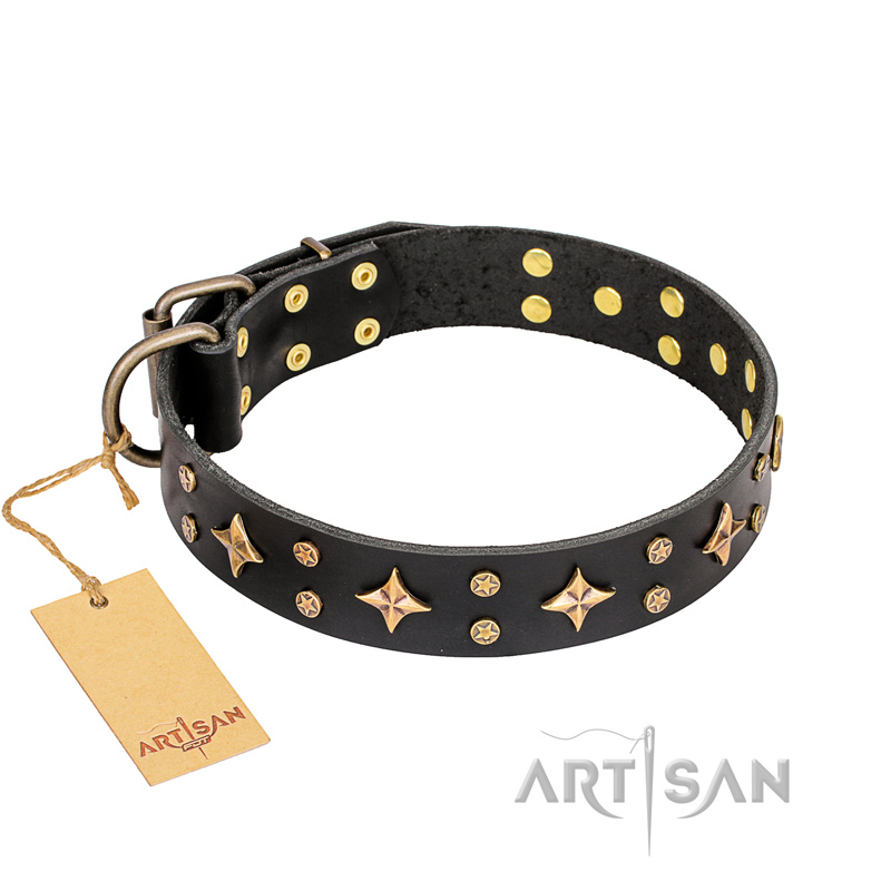 'A La Mode' FDT Artisan Handcrafted Black Leather American Bulldog Collar