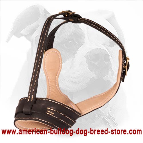 Fashionable Leather Muzzle for American Bulldog - Comfort and Safety for Active Dogs