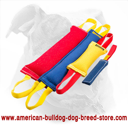 Upgraded Training Set for American Bulldog