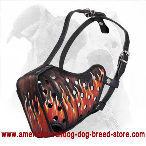Gorgeous Hand-Painted Leather Muzzle for Attack/Agitation Training - "Flamy" Wearing Every Day