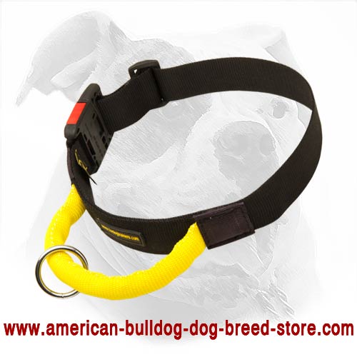Gorgeous Training and Walking Nylon Collar with Handle and Easy Quick Release Buckle
